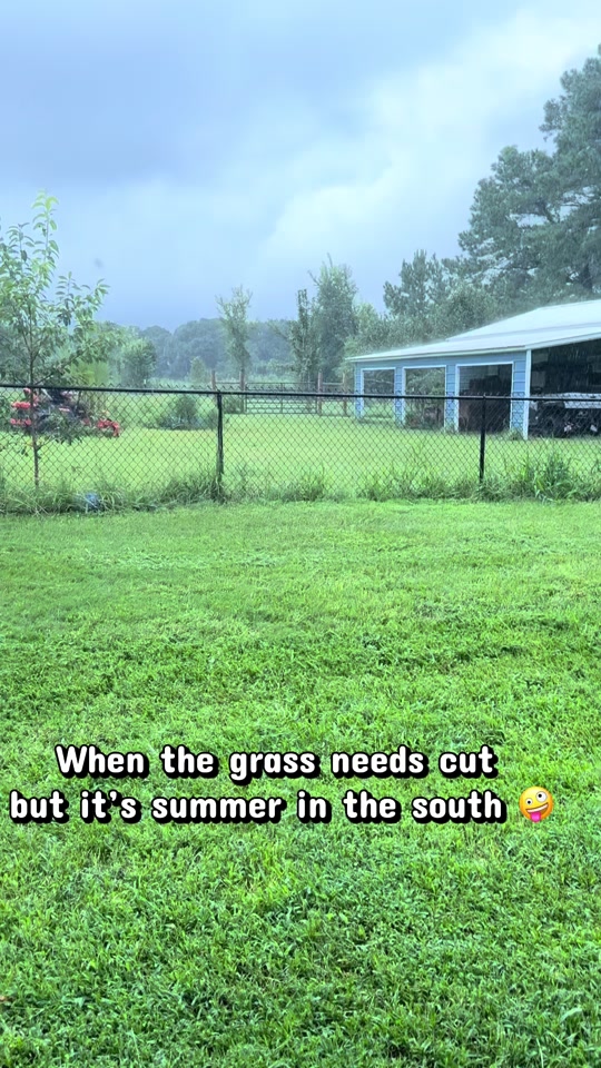 @The Accidental Farm
