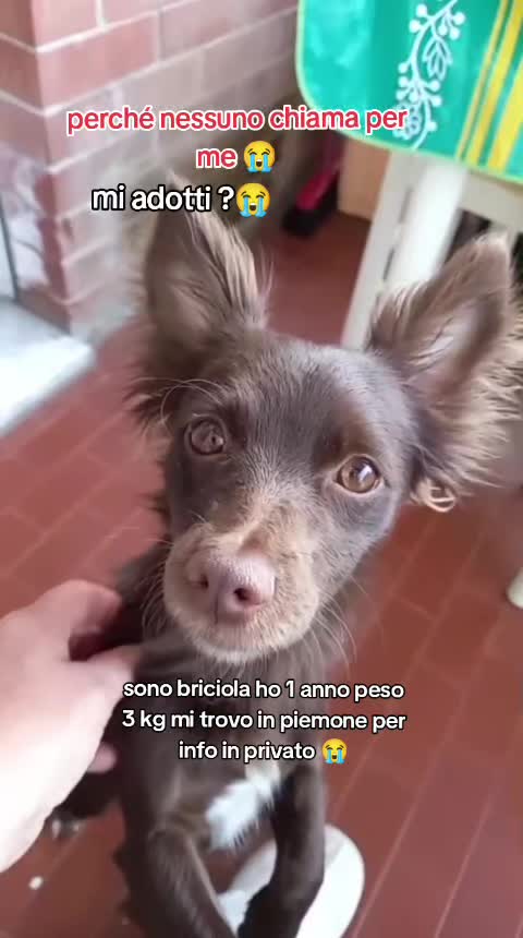@KIRA❤️LEYLA💙