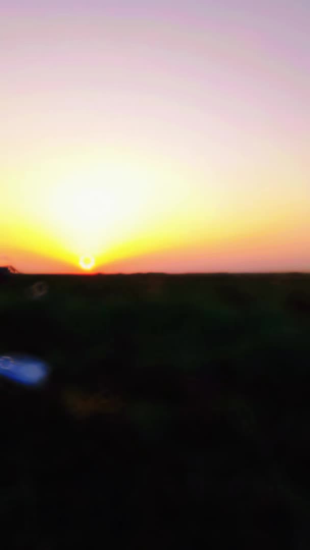 @حلا بنت عفرين