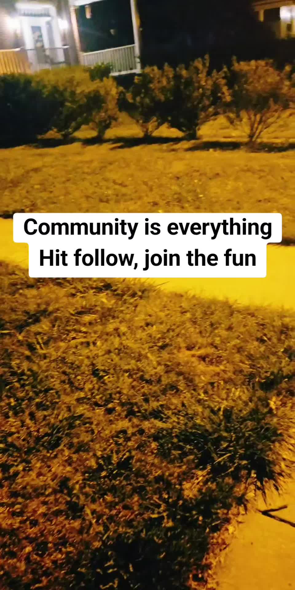@Jambofan❌️
