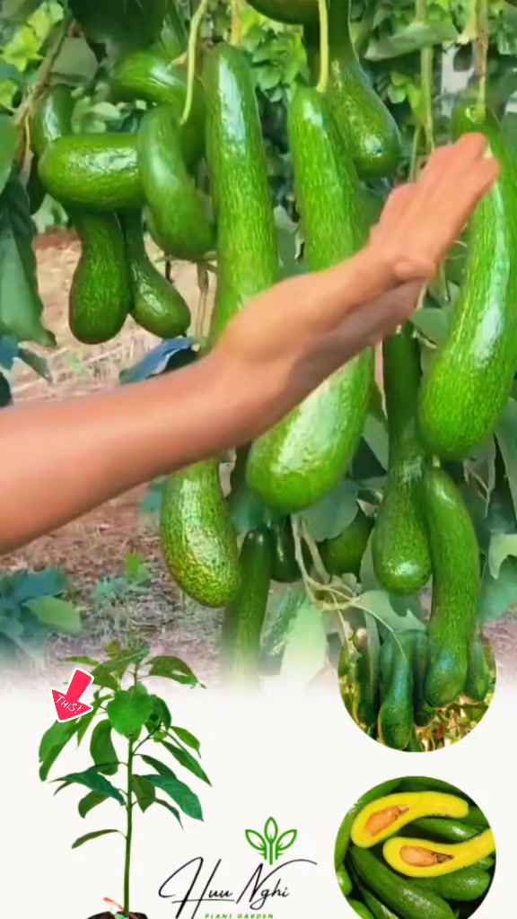 @tới đồ d&ugrave;ng