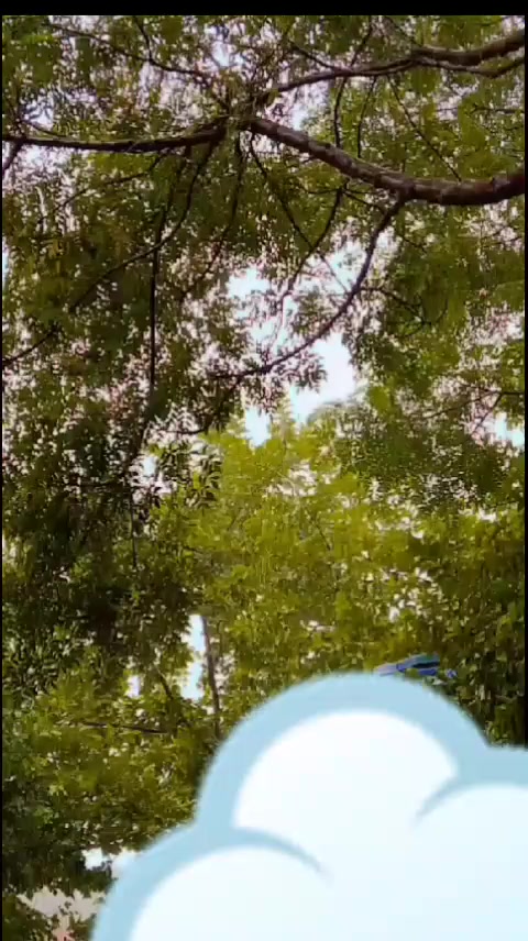 @itxhadii✨&hearts;️