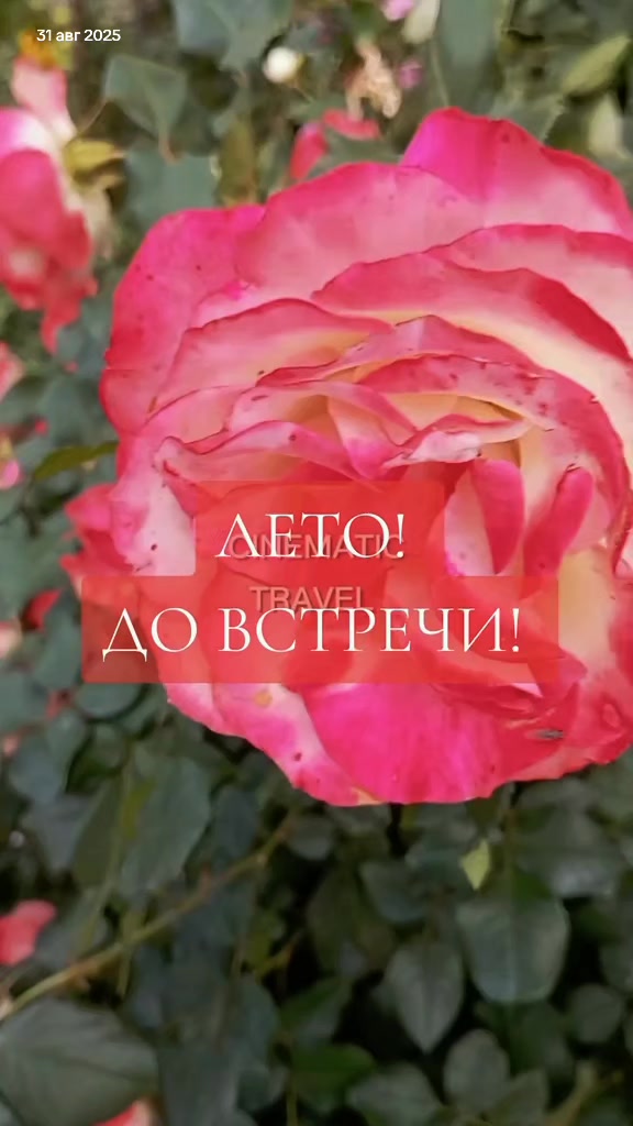 @💫Даниса💫