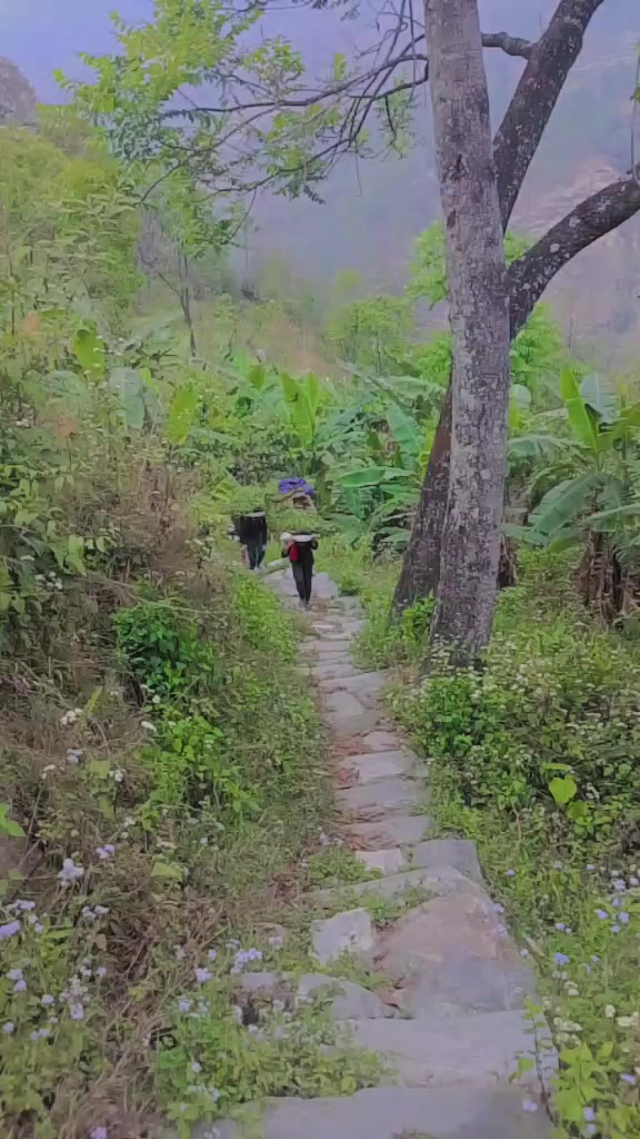 @Deepika Mijar