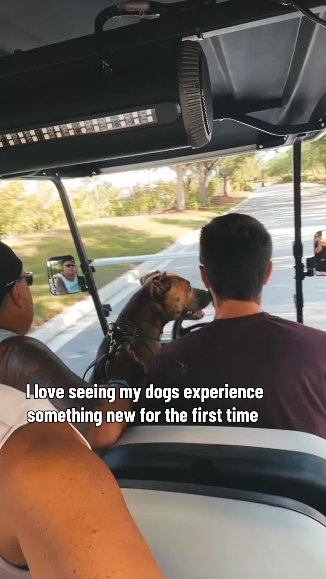 @lifewithstella