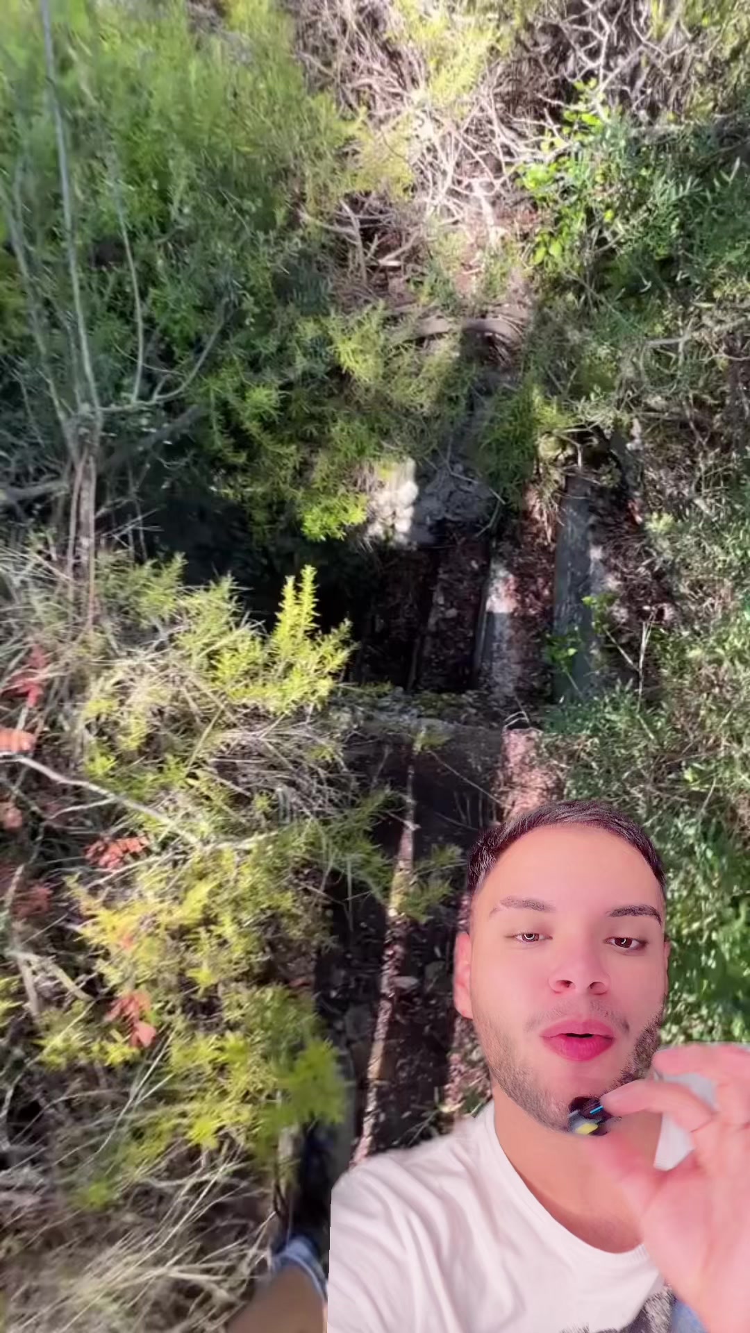 @Victorioso