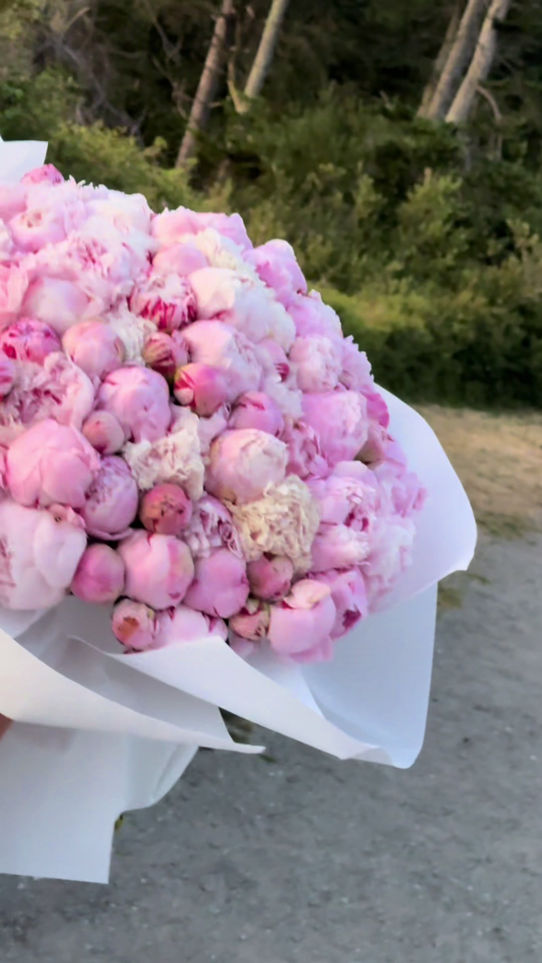 @solo.flowers