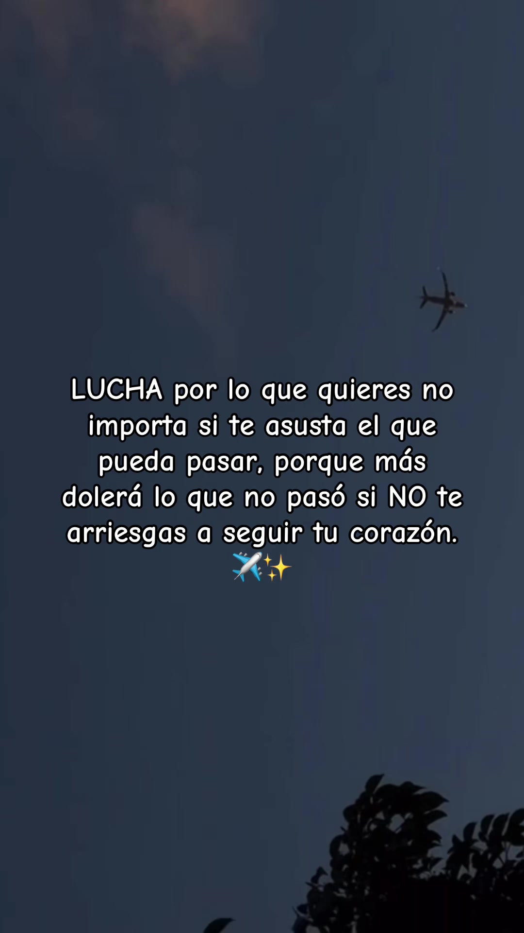 @Lau._Magon