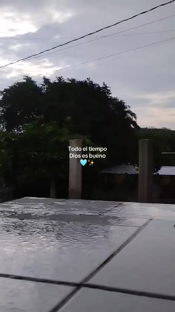 @rosapedraza48