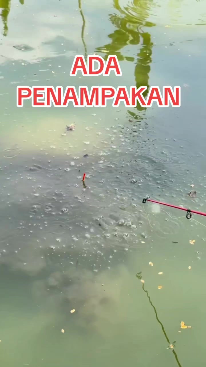 @SuryaGemilang