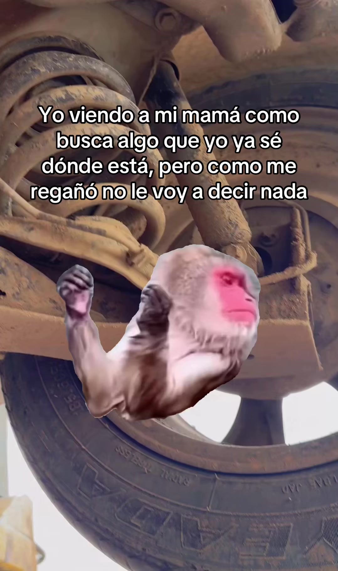 @Croautos