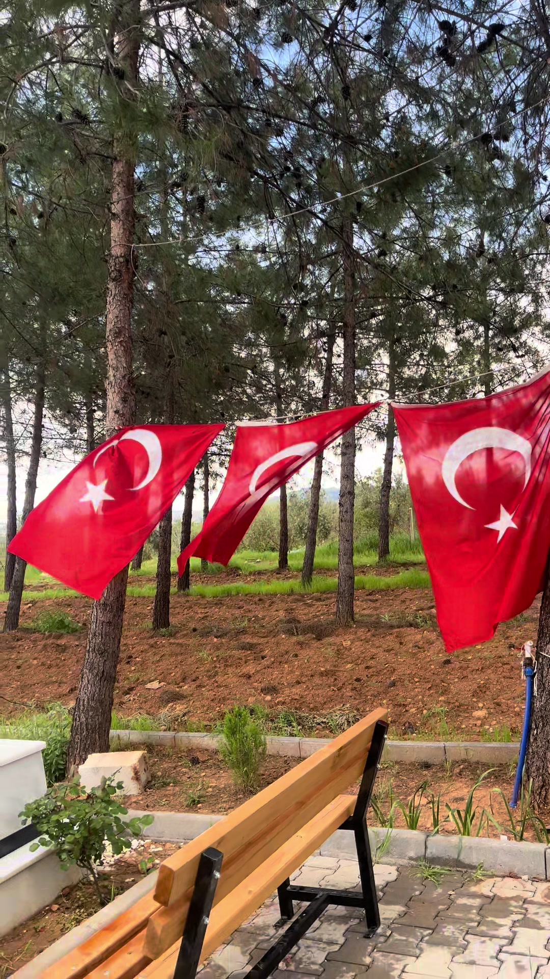 @İboseda27