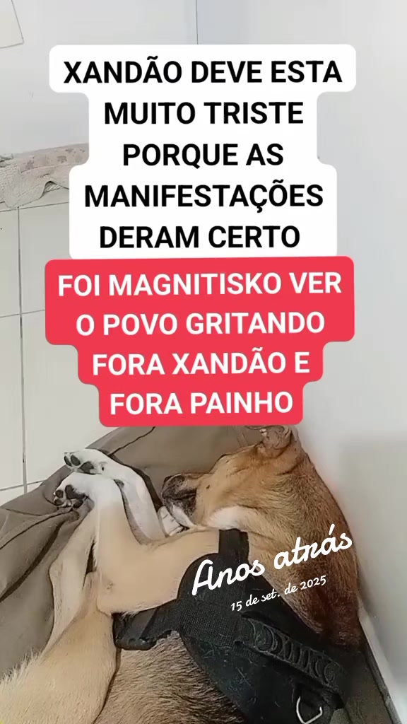 @MUNDO CAIPIRA MIRANDA
