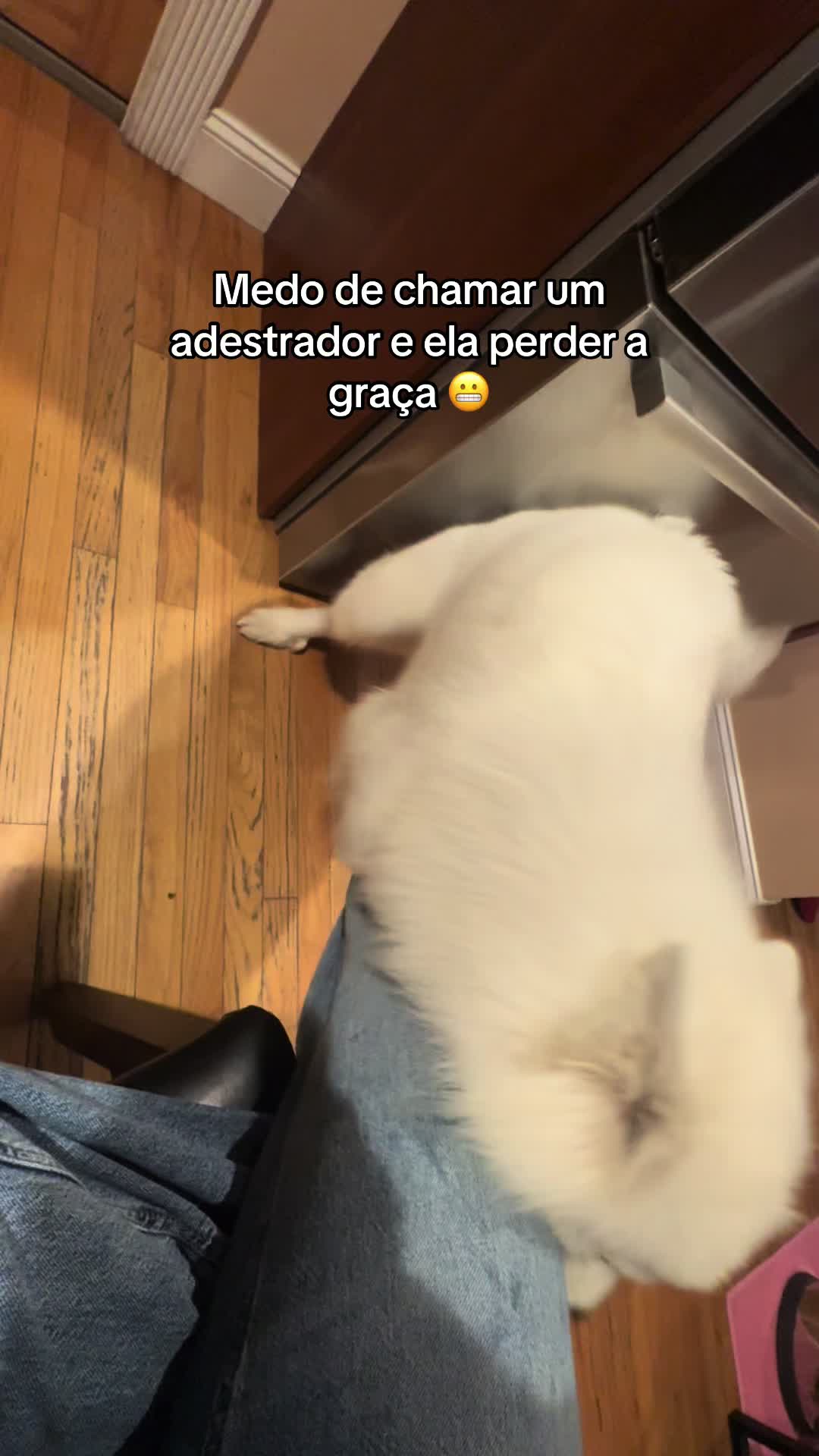 @eduardaakethlen