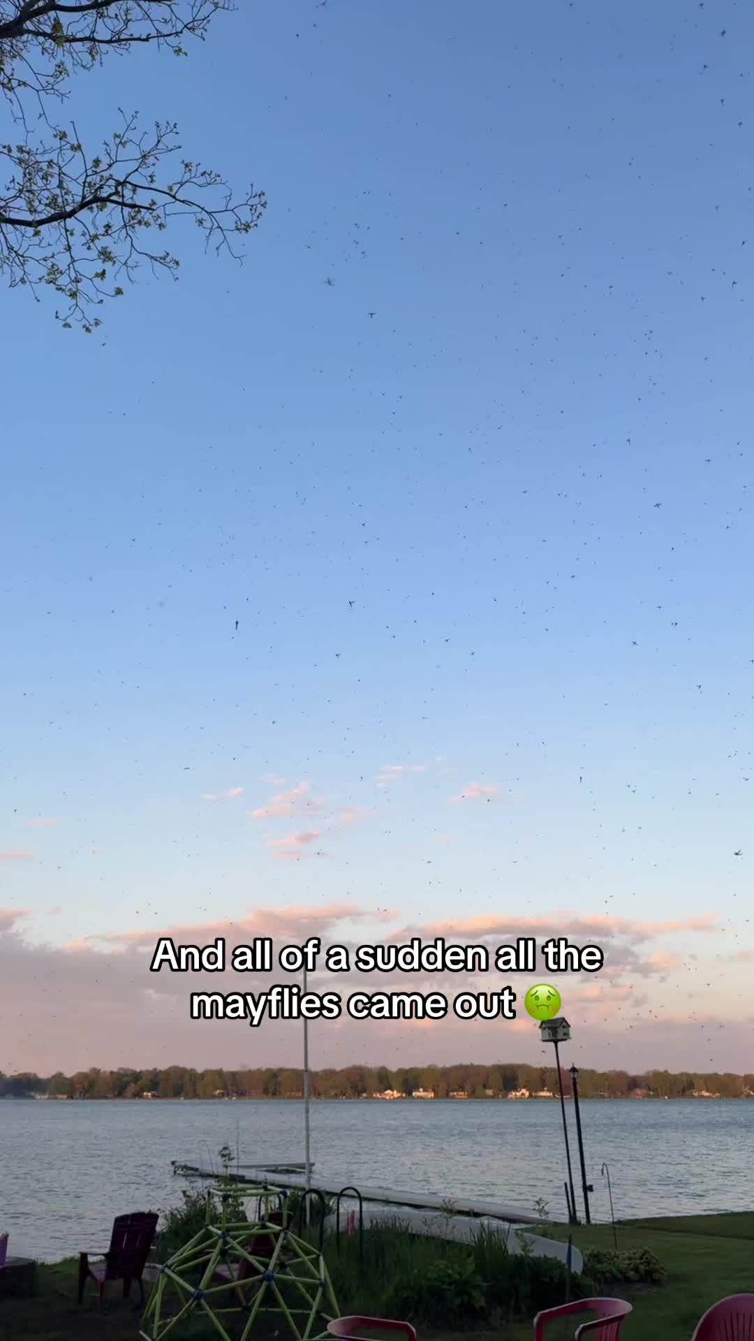 @Jessi Cuthbert | PA-S1