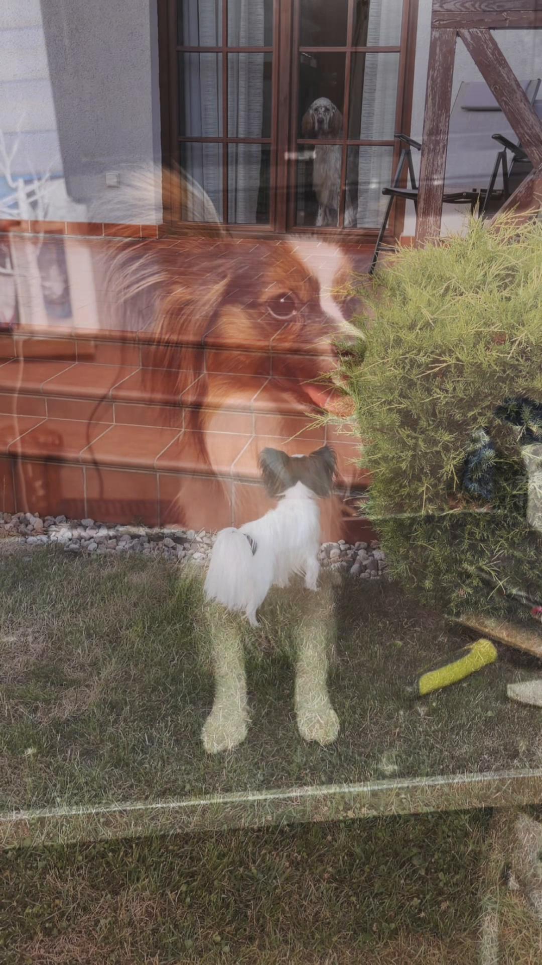 @๐ฅ๐๐๐ฅ๐ฅ๐๐ โ๐๐๐ ๐ฝโ๐๐ฅ