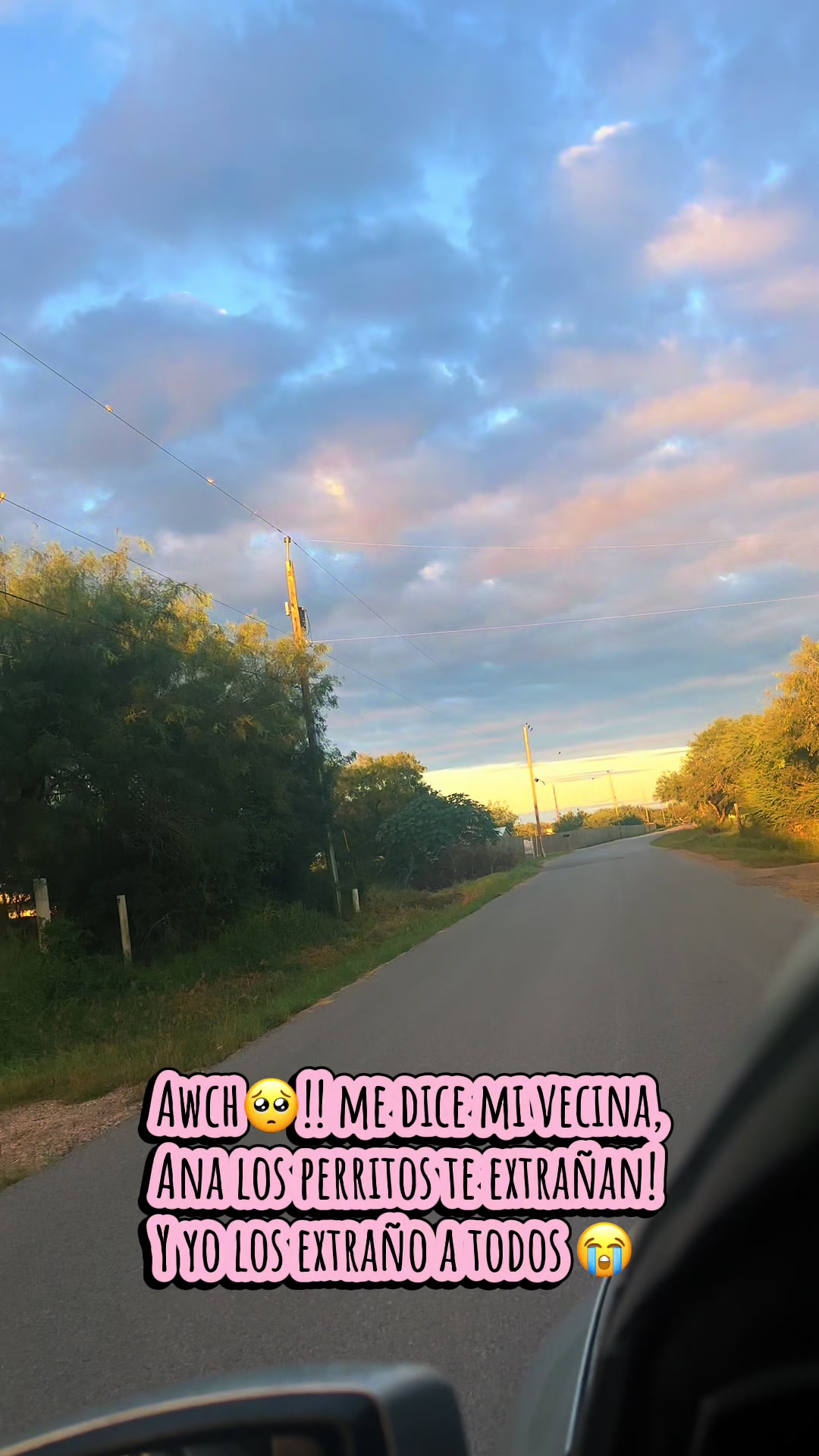 @AnaMary🖤