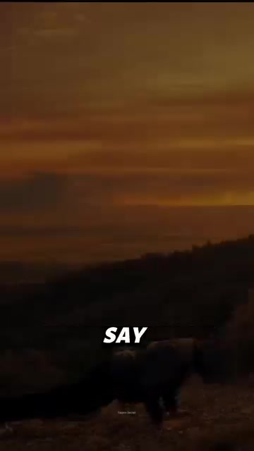 @ALAN