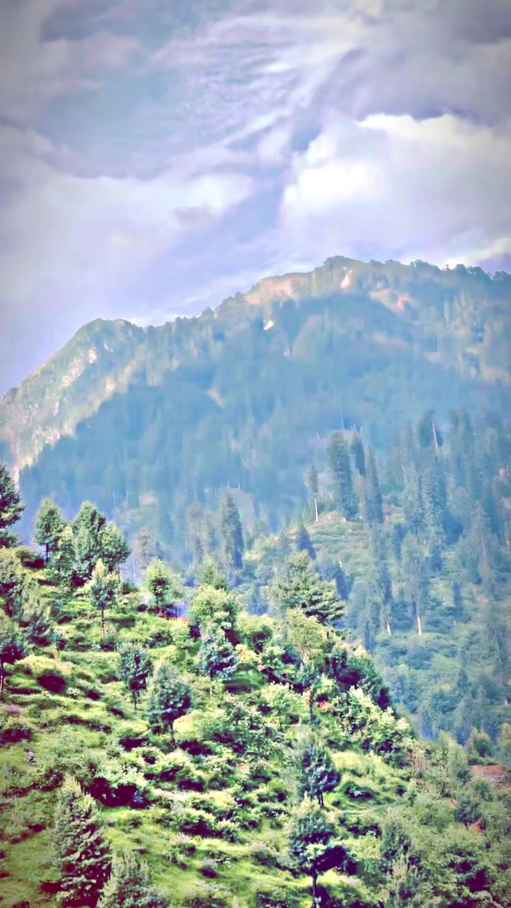 @شاہ خان✨😎