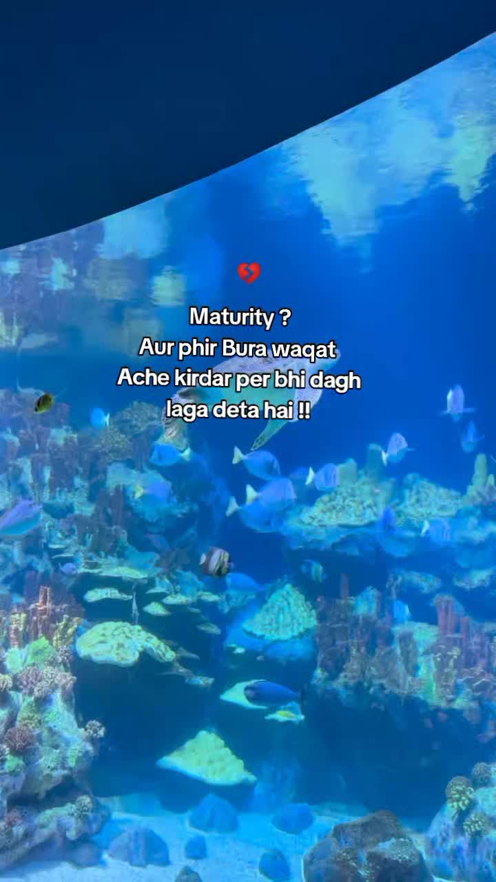 @⭒๋𐙚๑Malaika🐚🪷