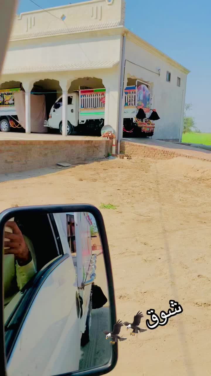 @sajidnihalka923