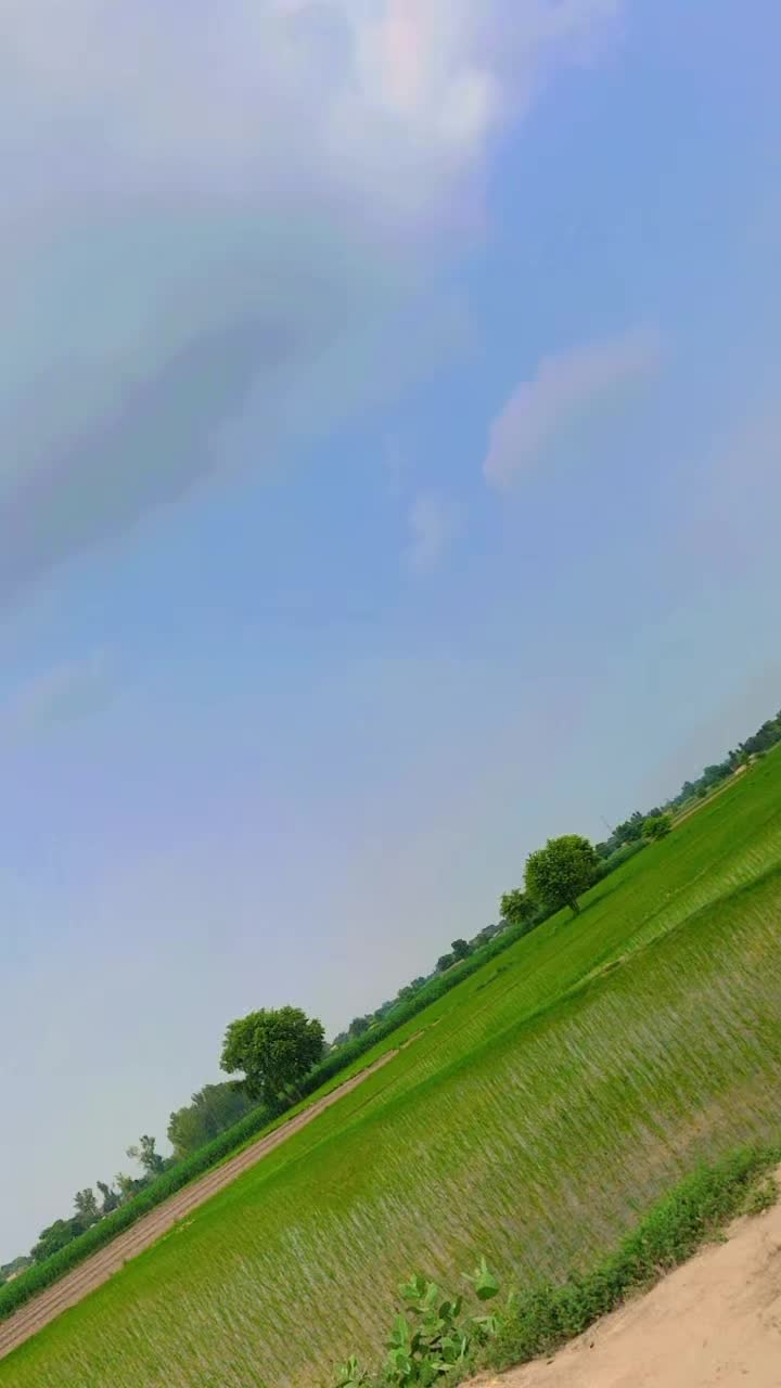 @𖤍 بـلالـــــی گـھنجــیـرا ☠︎