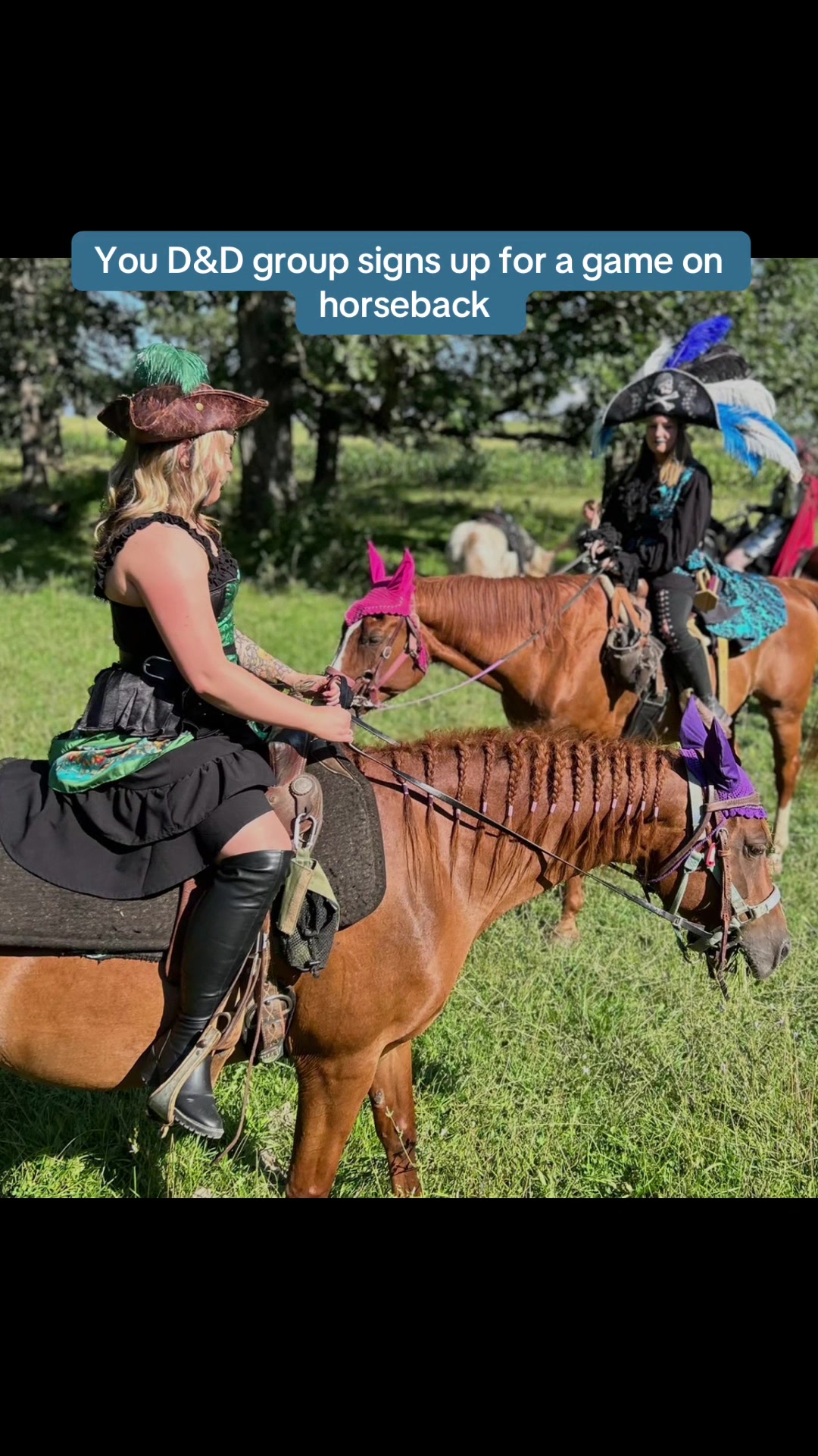@SaddleSnaps