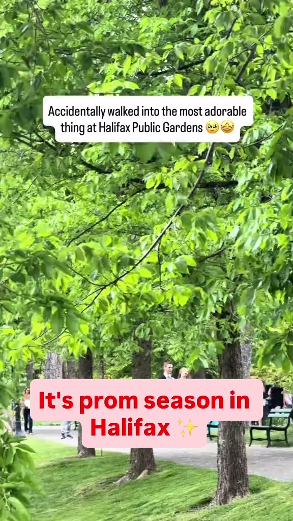 @northlyhalifax