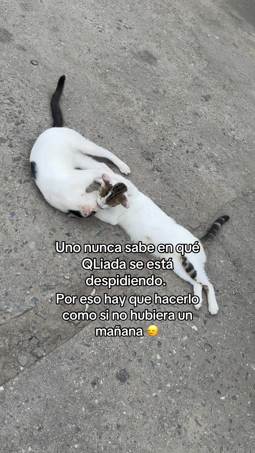 @🪬🧿monicaduran🧿🪬