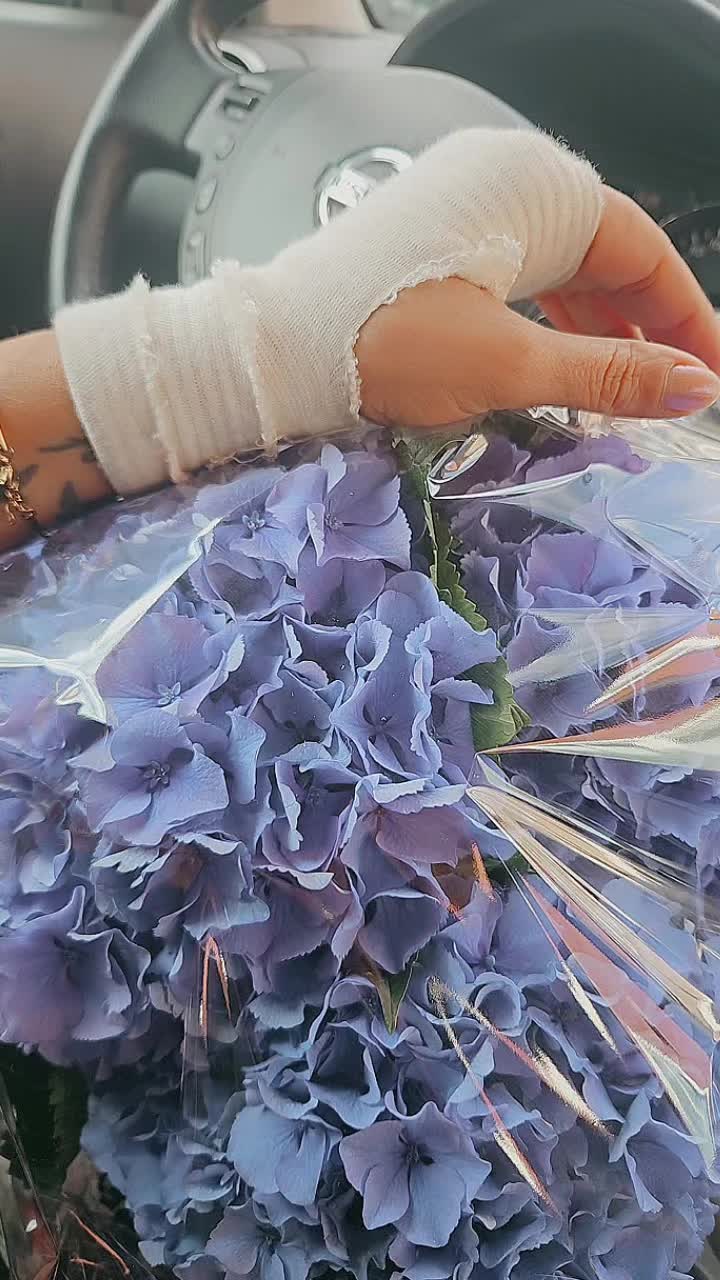 @filizgunoz