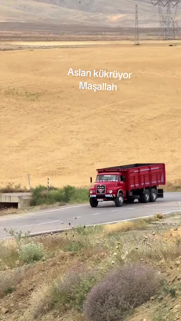 @Mehmet Kaya Adanali