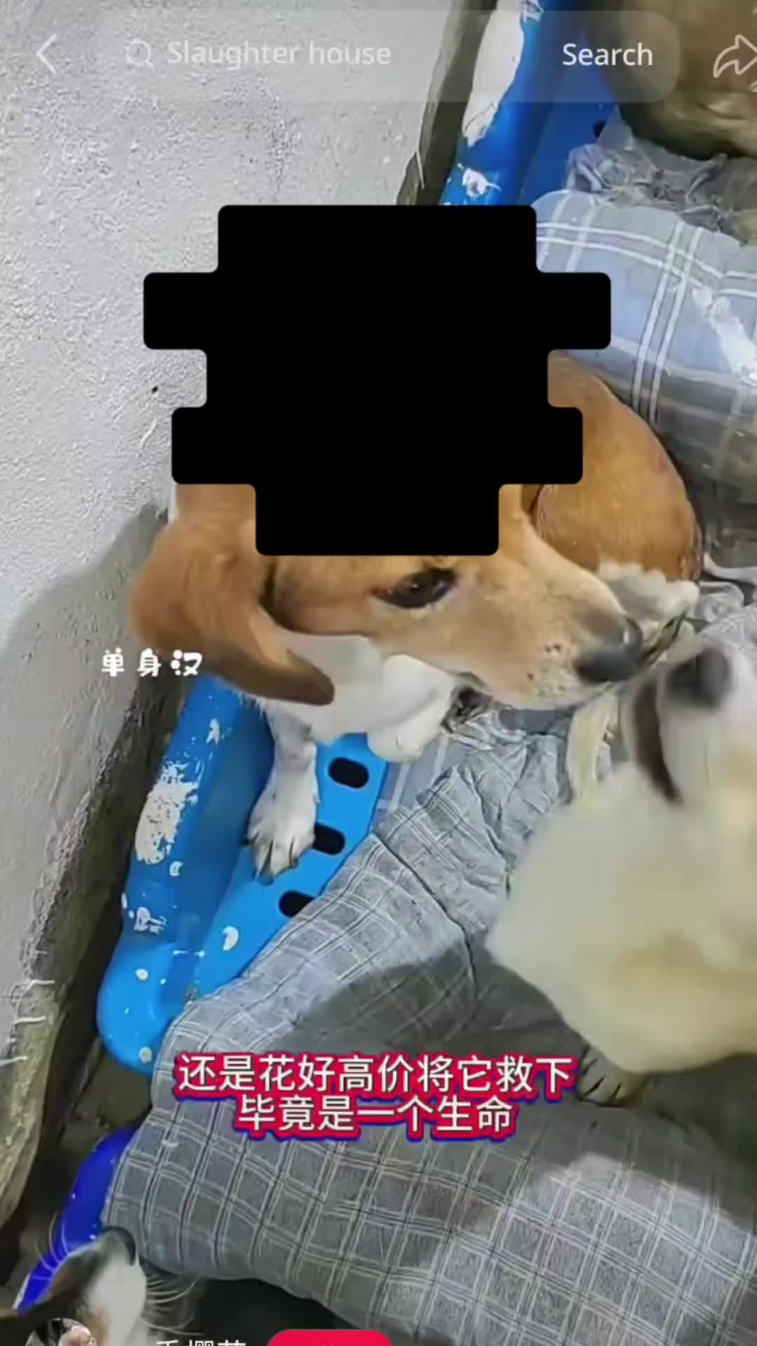 @VeganerTerrorist