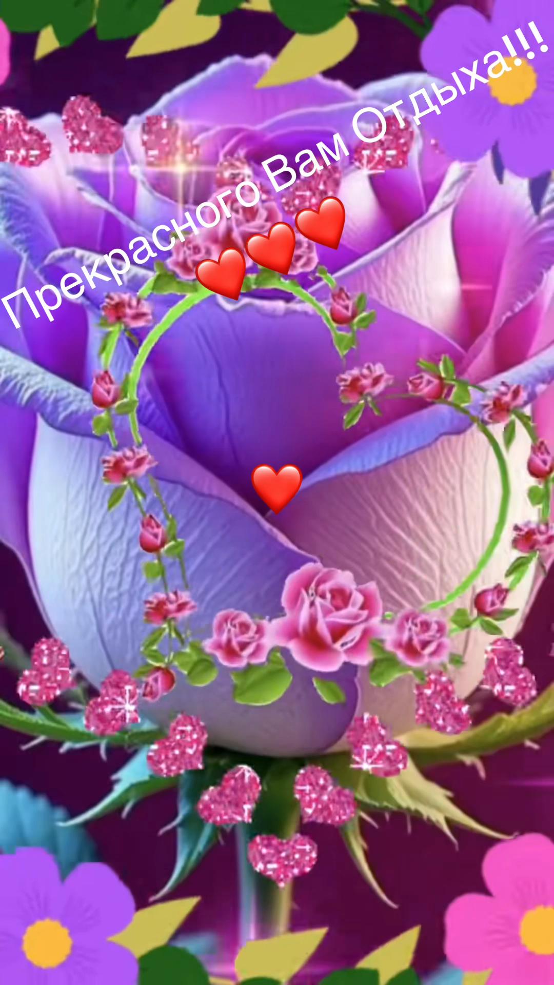 @zulfimysaivna