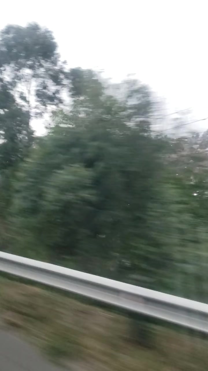 @hämööyä Zm