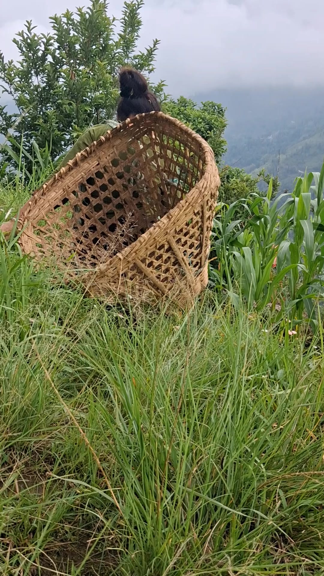 @Krishna Mangyung
