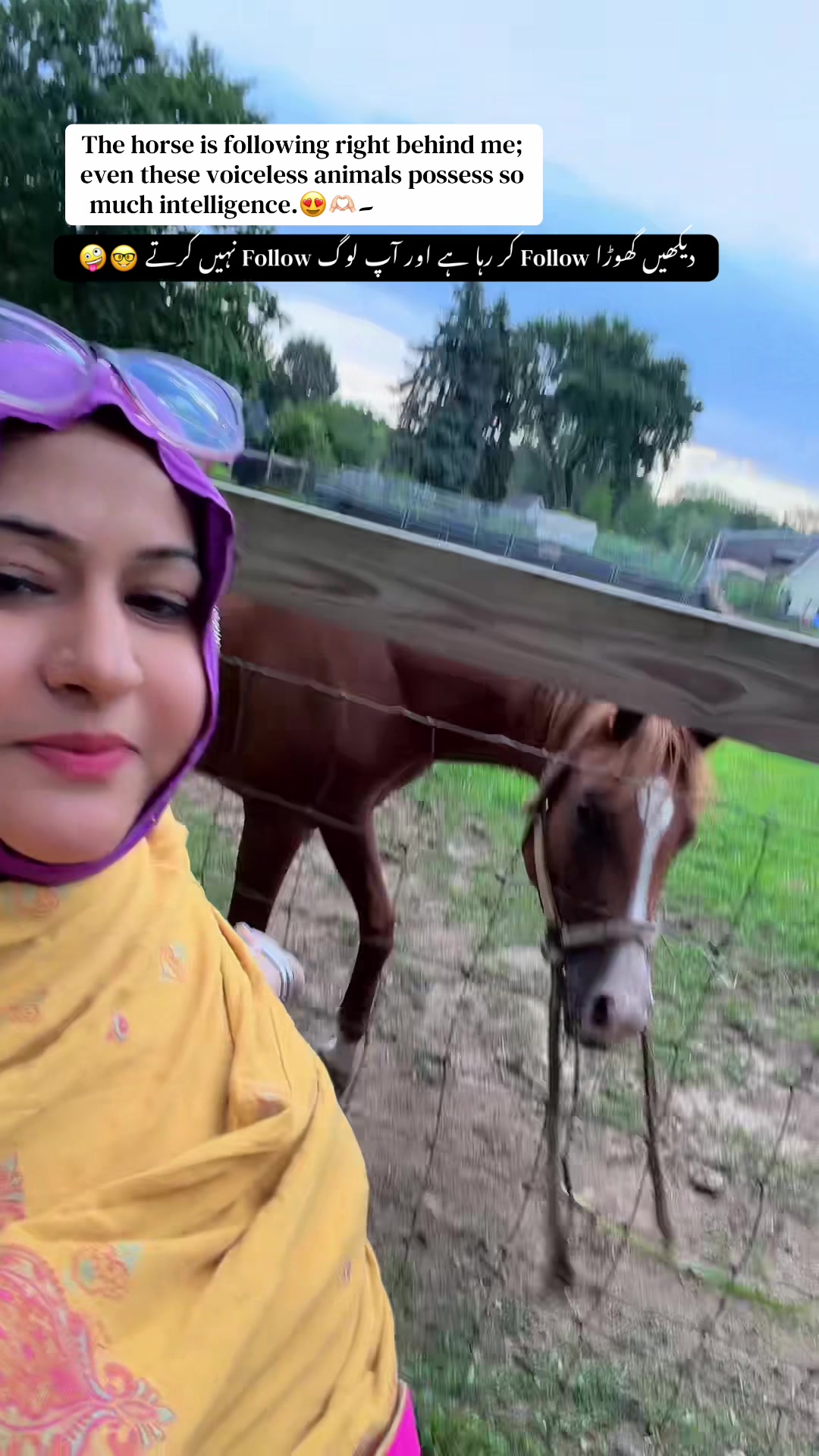 @lifewithkiran17