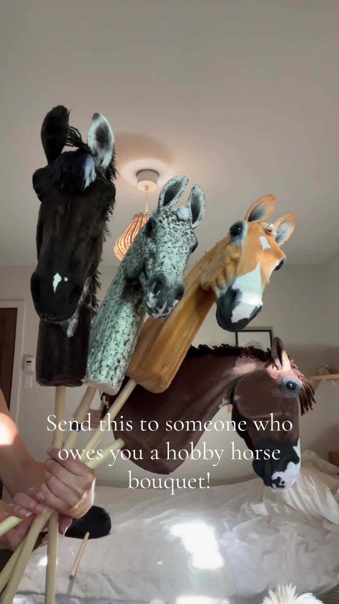 @zhobbyhorse