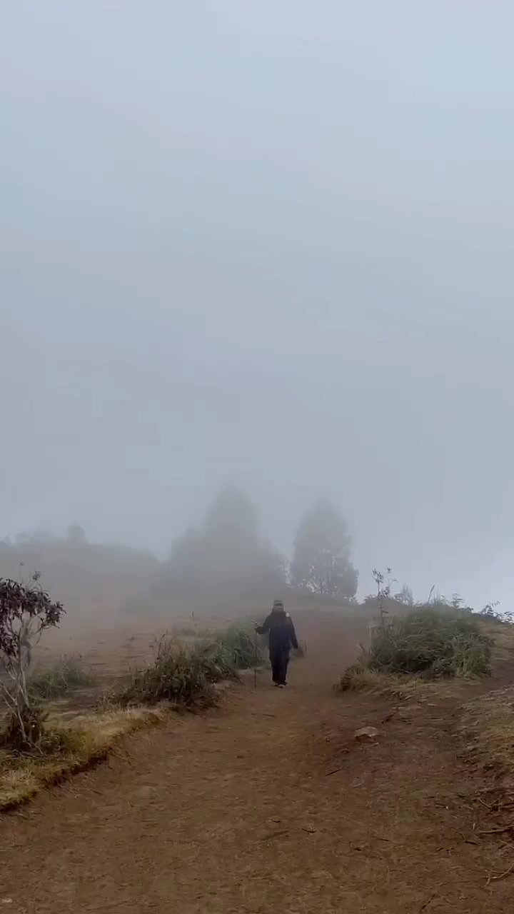 @2002🦋