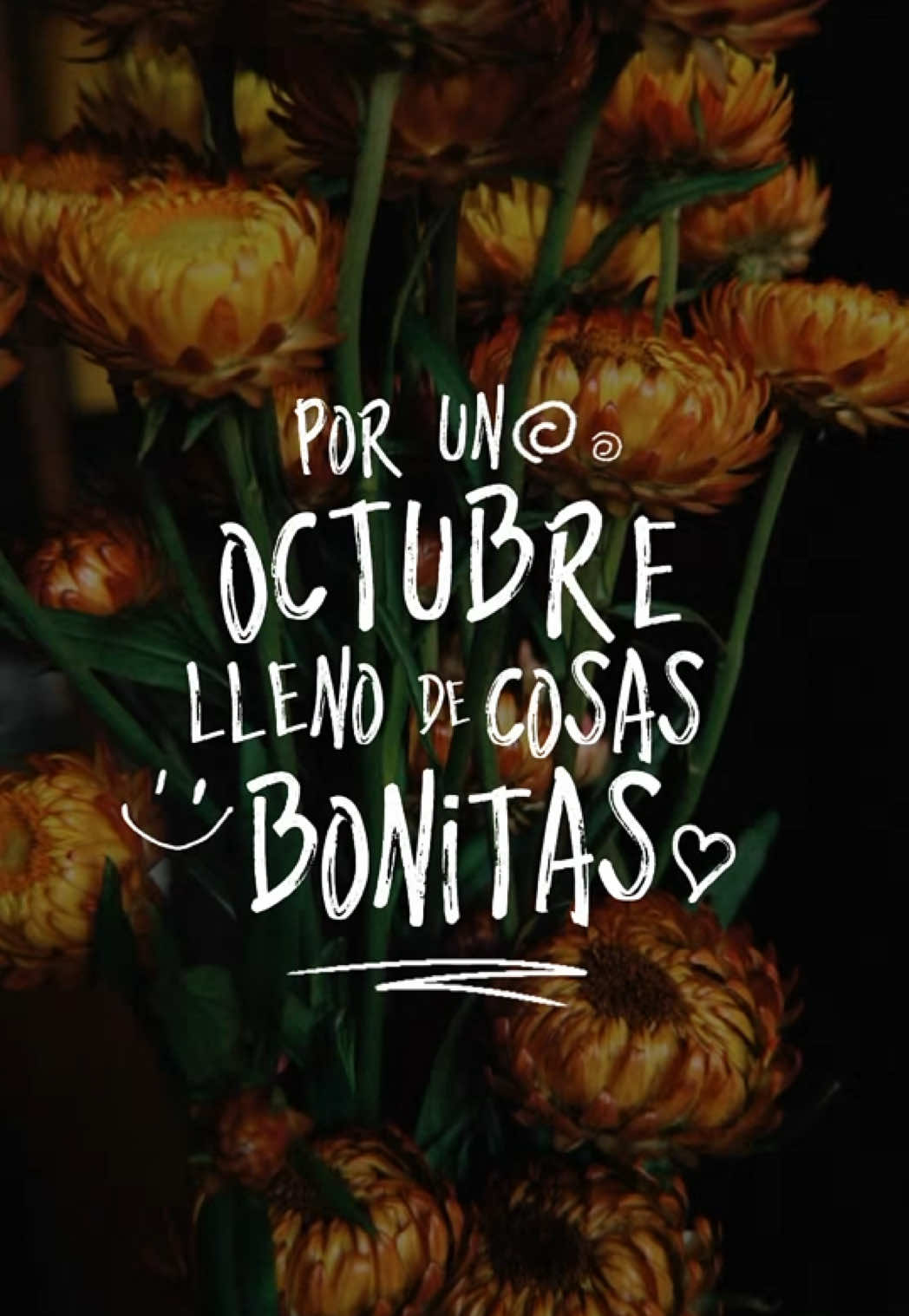 @Patricia Duerto
