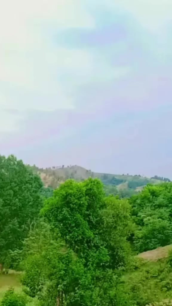 @Roshni🫶