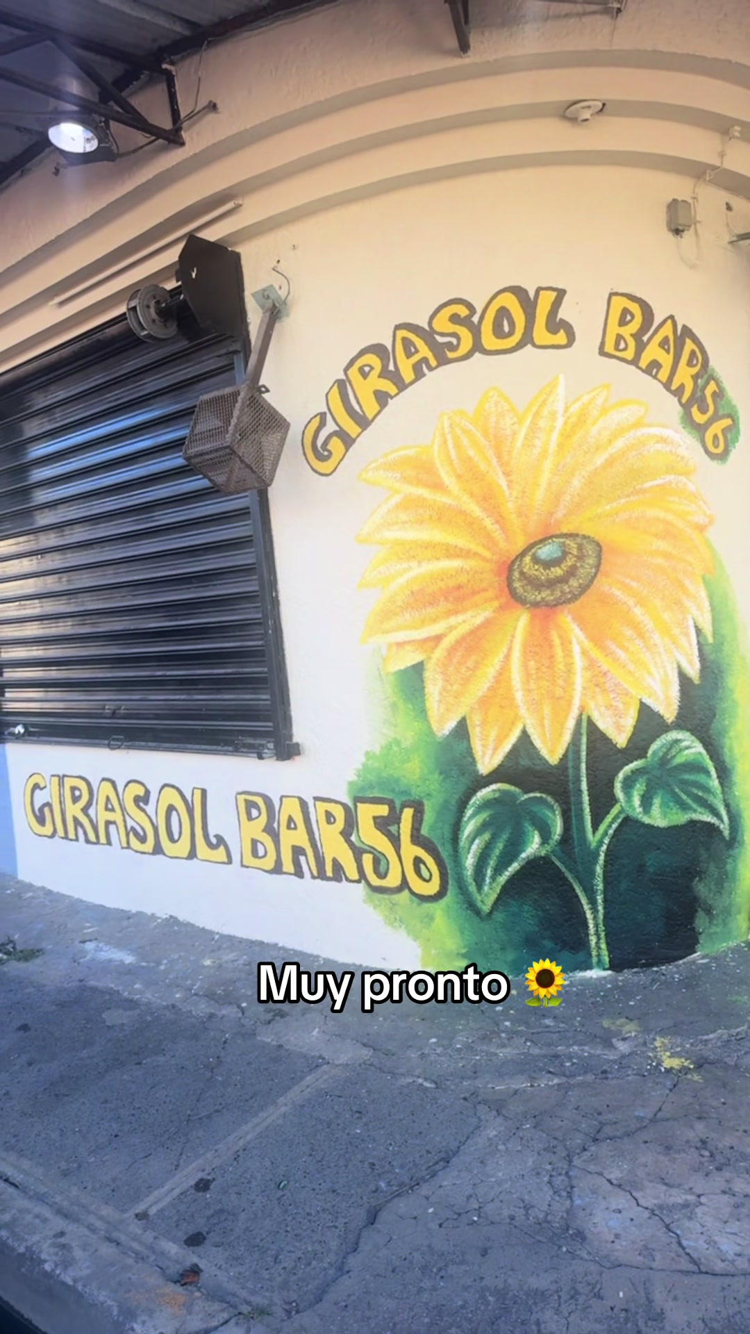 @Flor Salvaje