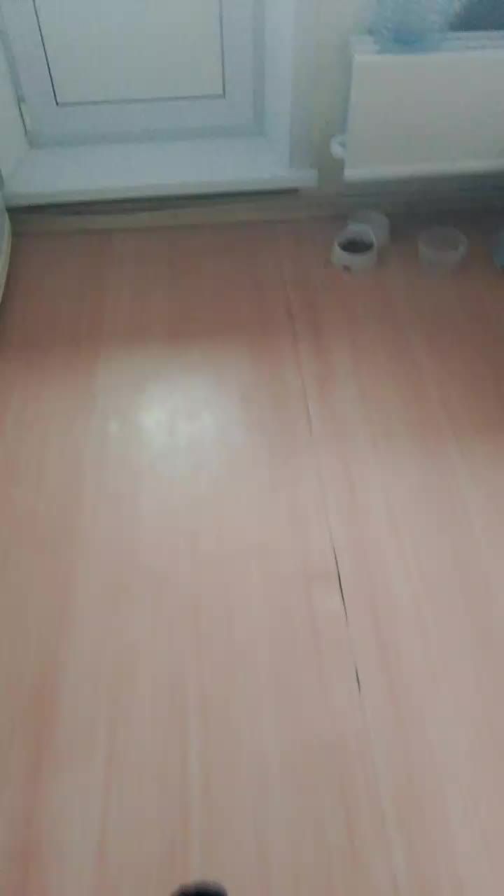 @нелегалы_69
