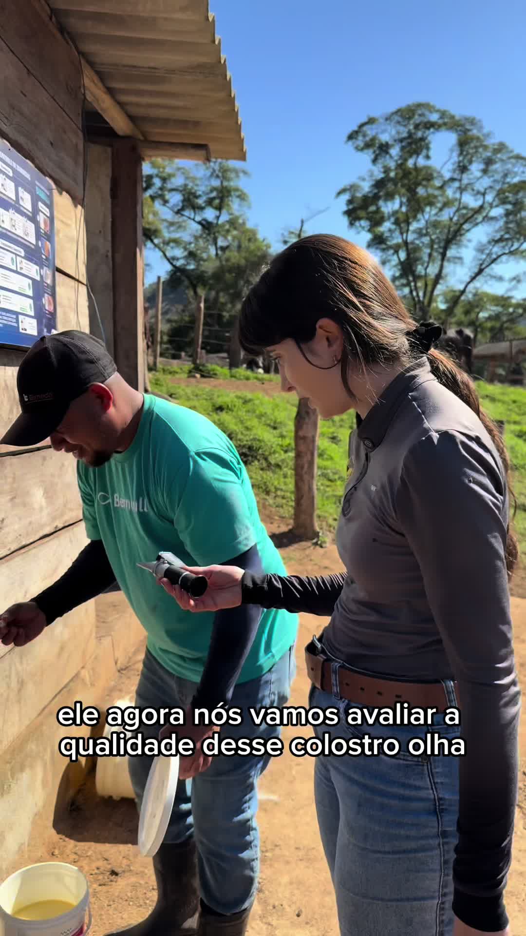 @anacarolinalanavet