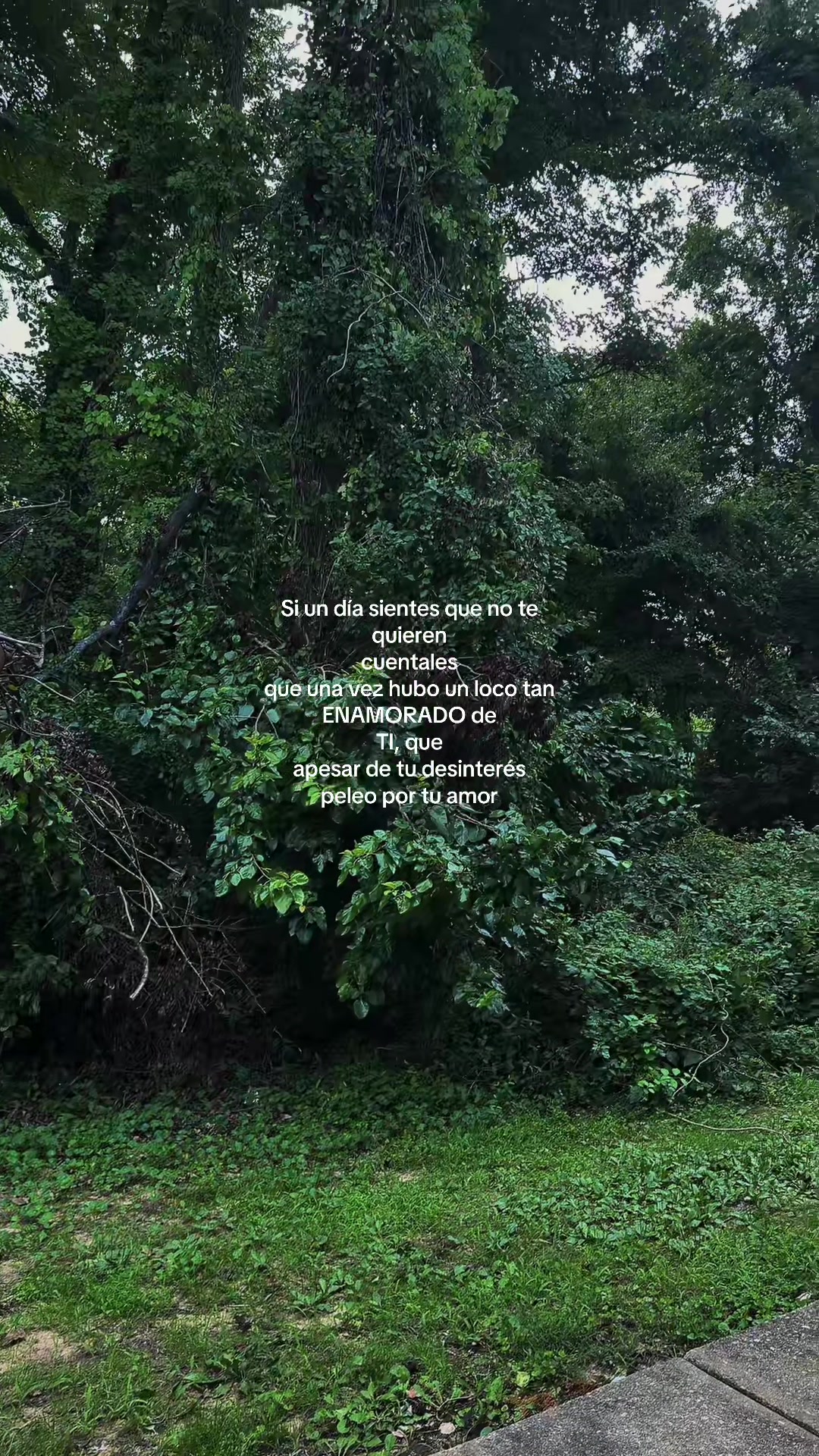 @🥀Mentalidad_Refleccion 🪫