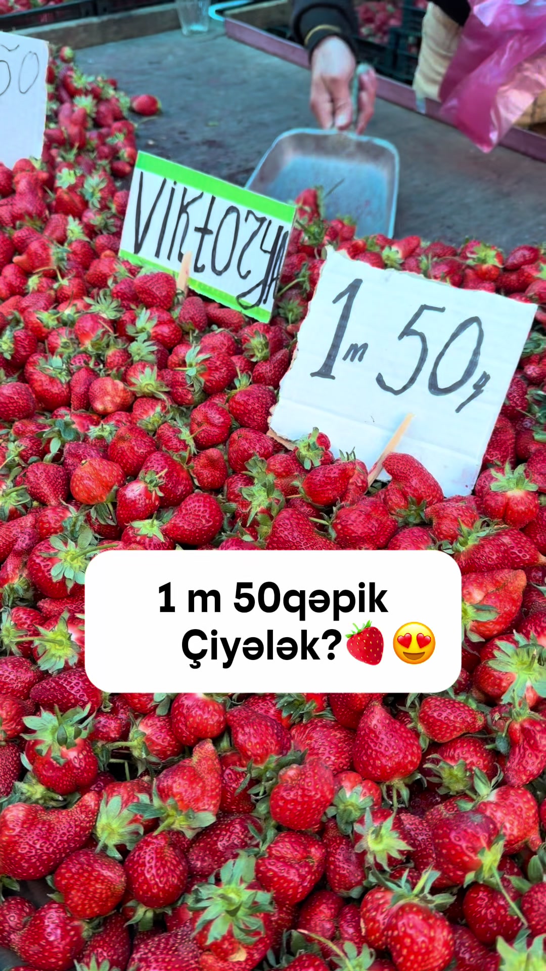@Maskalı