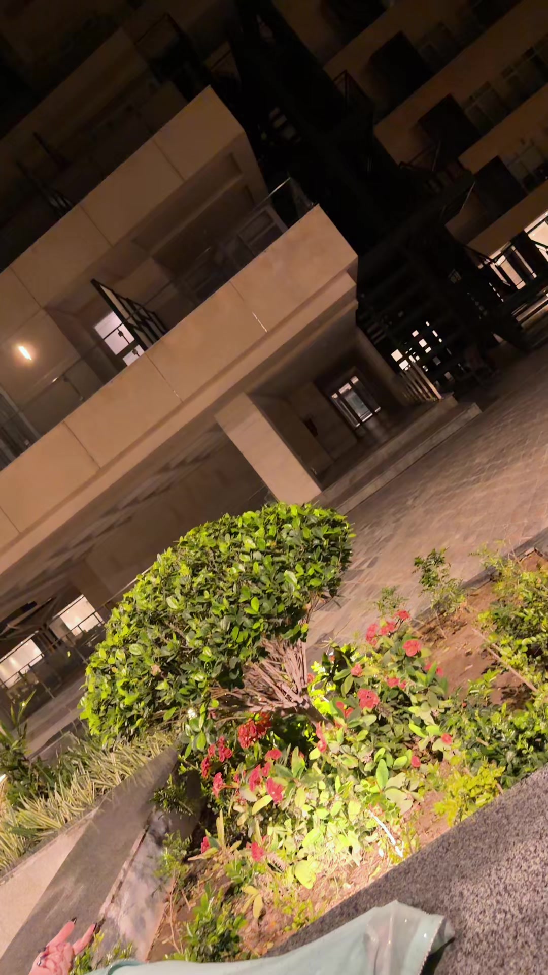 @Ajwaa_95