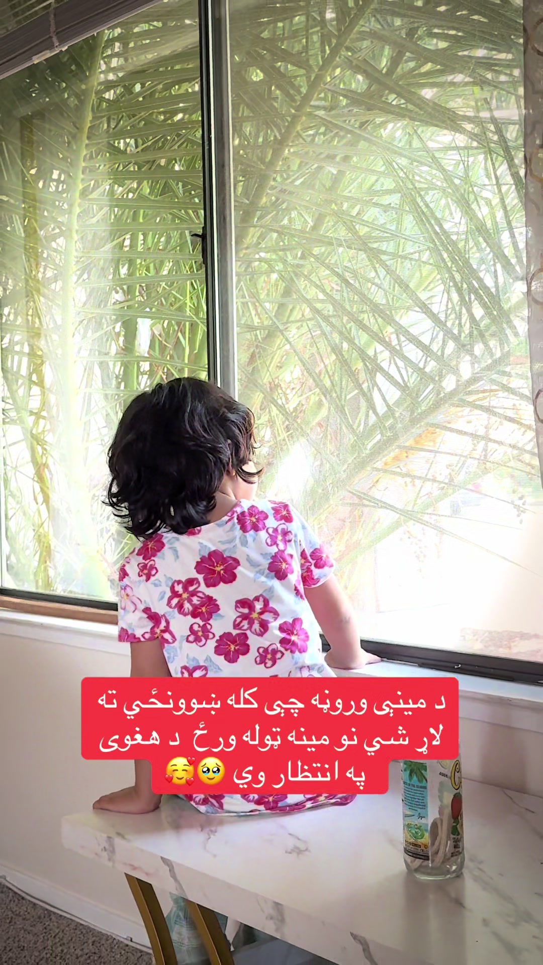 @hajjeh_mina7