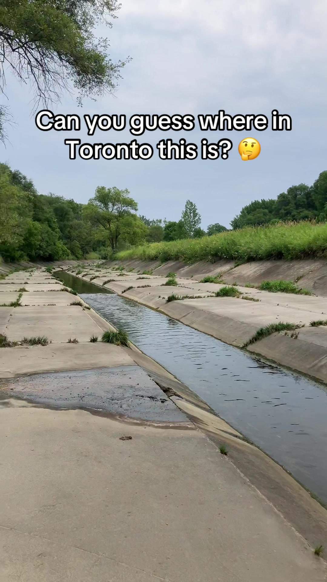 @Toronto Life
