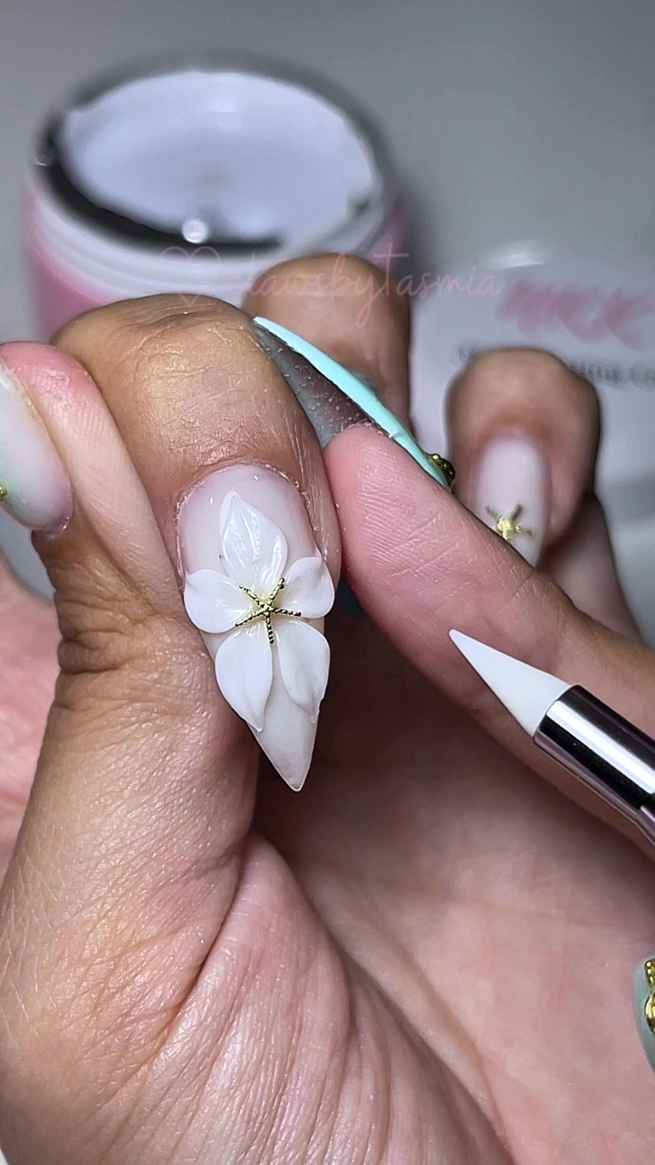 @clawsbytasmia ✨