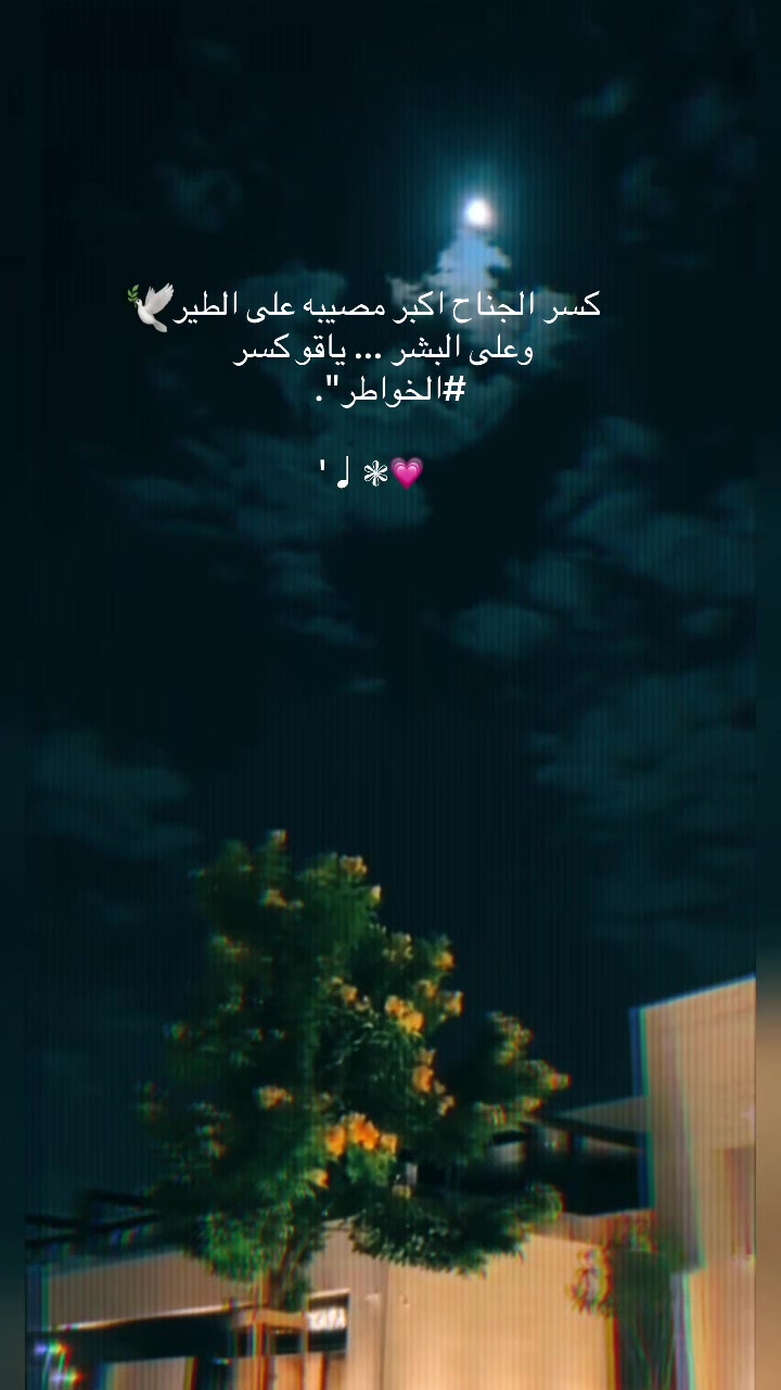 @شوق الشيباني 𓃴♡: